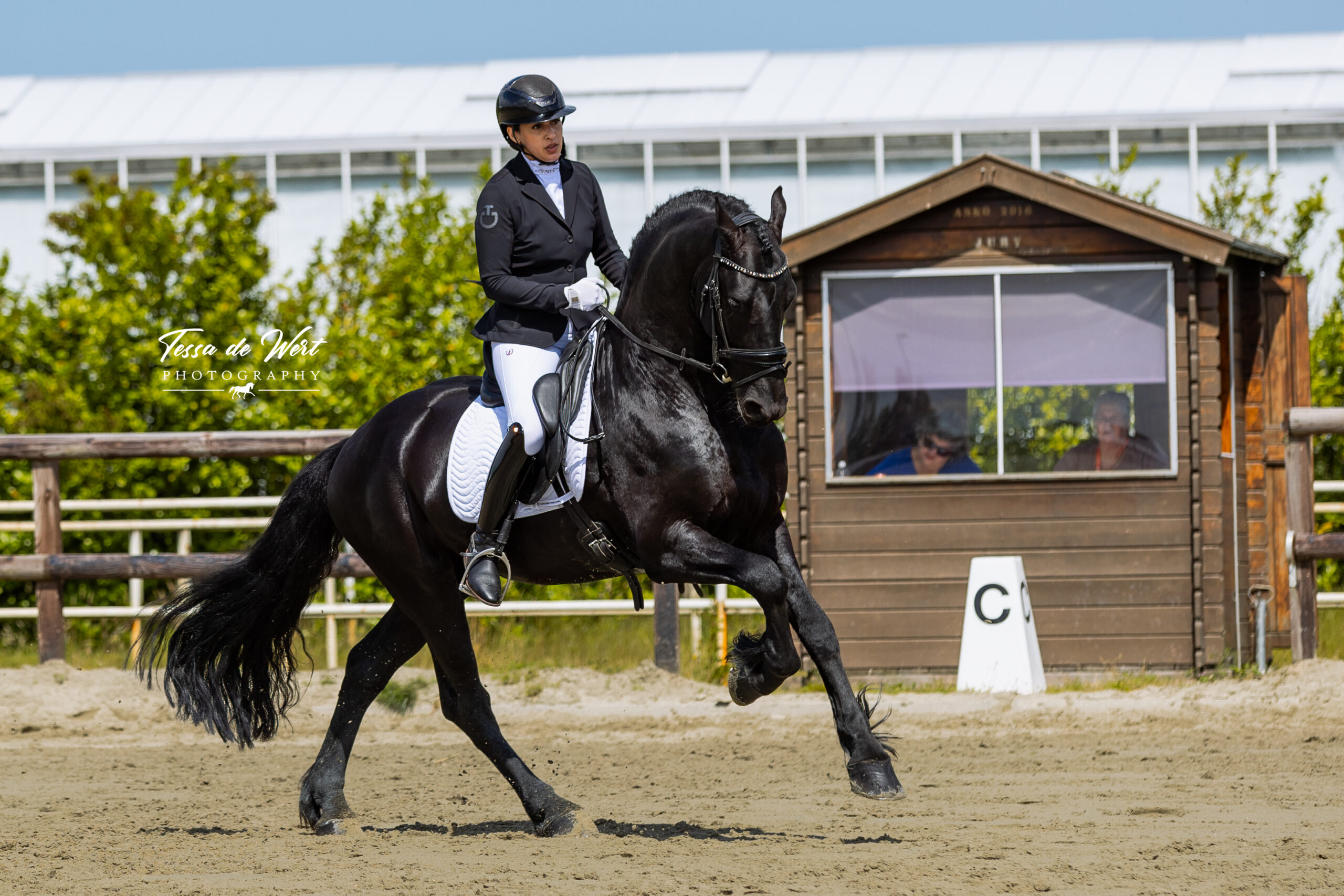 foto paard in galop tijdens wedstrijd