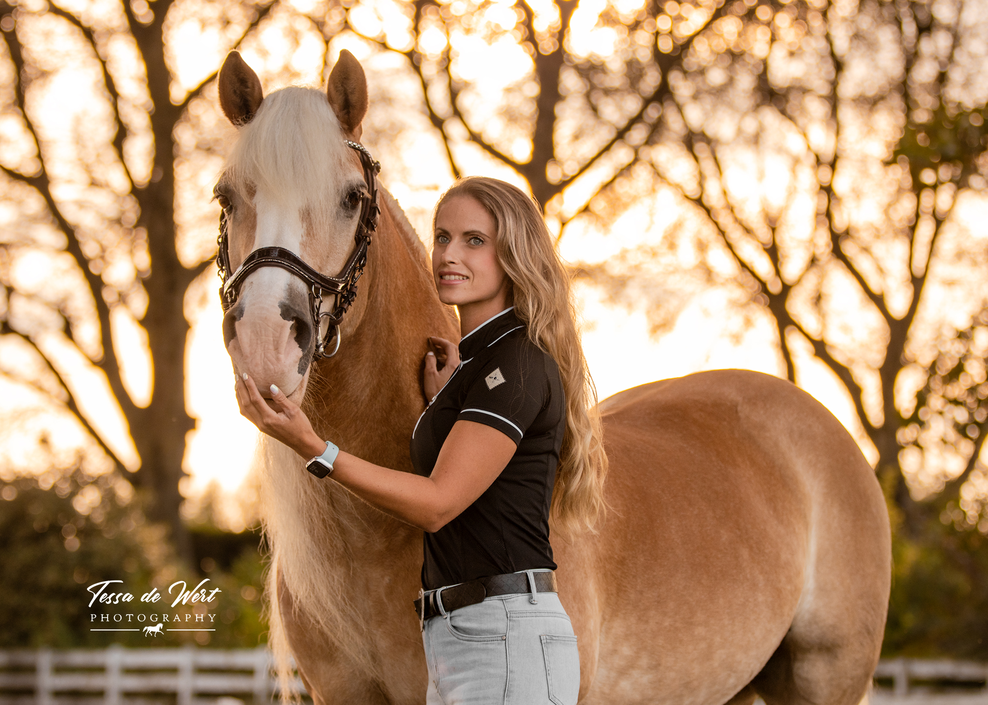 fotoshoot met paard en eigenaar met ondergaande zon